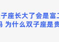 双子座长大了会是富二代吗 为什么双子座是贵族